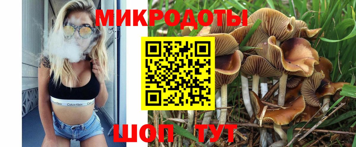 Галлюциногенные грибы MAGIC MUSHROOMS Канаш