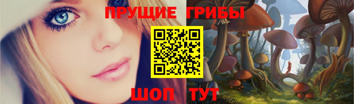 Канаш  Галлюциногенные грибы Cubensis  Вход с VPN 